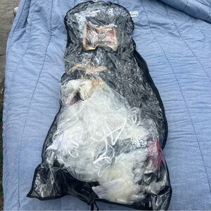 In Character Costumes Boneyard Bride with Veil in Garment Bag Size Small